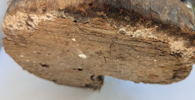 Baule Female Spirit Figure, Cote d'Ivoire — view 7
